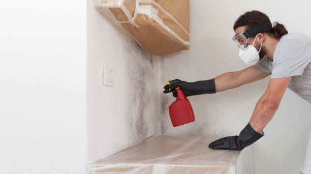 Professional Mold Testing technician working in Albertson, NY