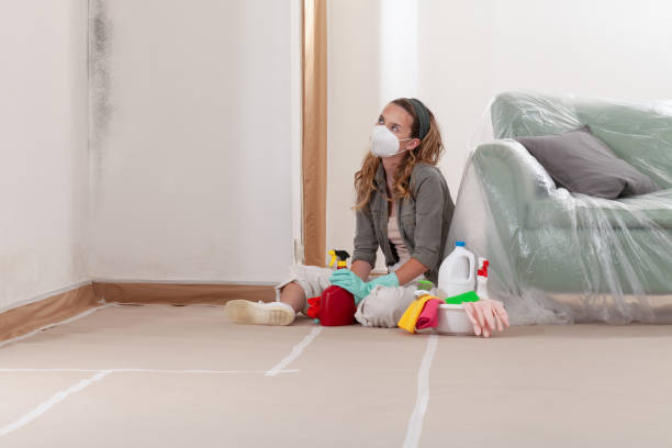 Reliable Mold Testing contractor in Albertson, NY by WQB Mold Removal
